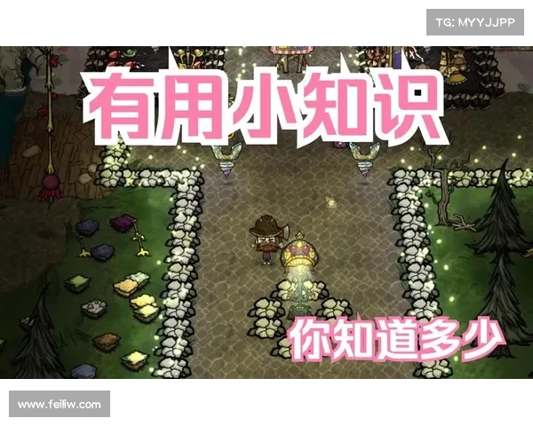 老奶奶在饥荒中生命值恢复的实用技巧与策略分享 老奶奶在饥荒中生命值恢复的实用技巧与策略分享