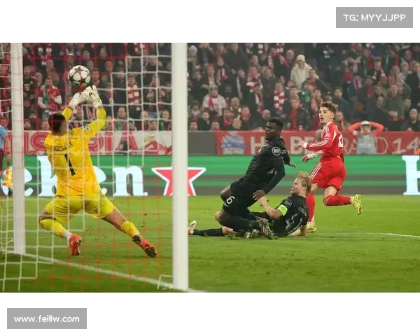 拜仁慕尼黑体育场名称由来与历史背景全解析