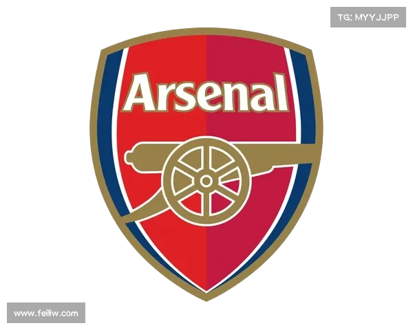探析阿森纳队徽象征意义及其深厚文化价值与精神传承的多维度内涵