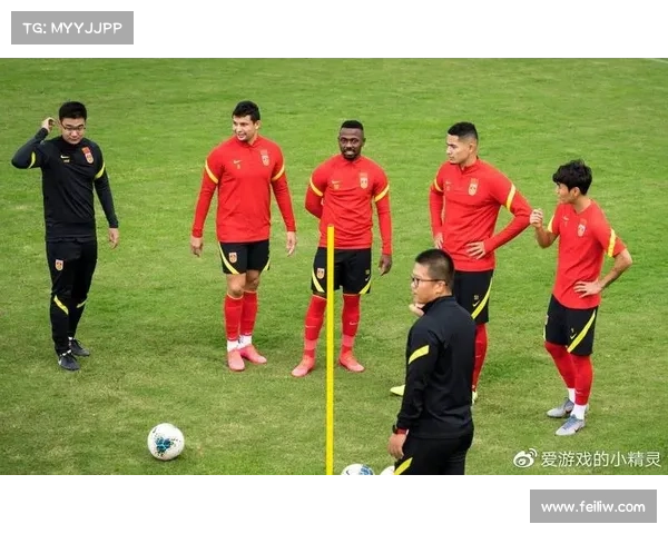 归化血缘球员助力国家队提升竞争力的三大优势解析